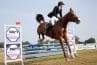 Reiten