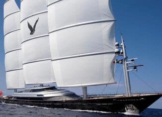 Maltese Falcon