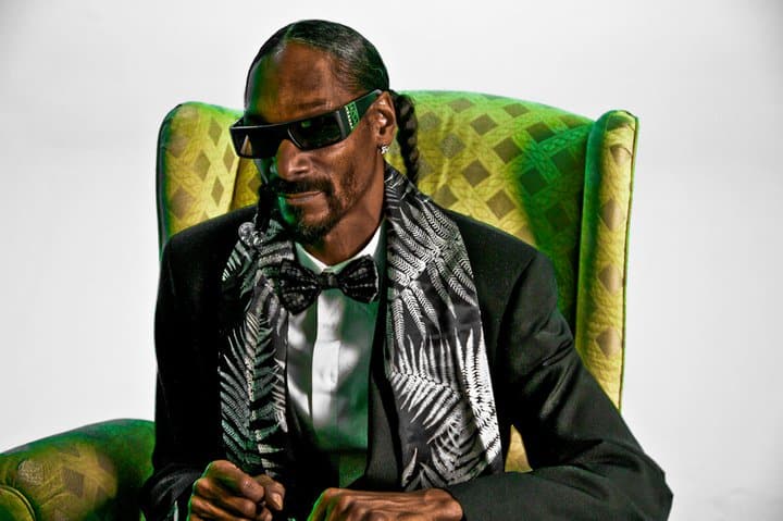Vermögen und Verdienst von Snoop Dogg