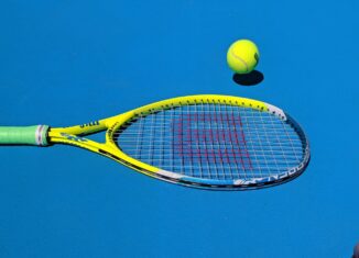 Die Bestverdiener unter den Tennisprofis