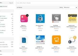 Wie viele Magento-Erweiterungen gibt es und warum braucht man sie?