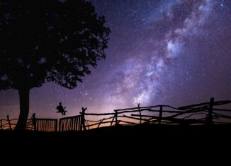 Warum jetzt der beste Zeitpunkt ist, seine Träume zu verwirklichen?