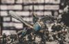 Warhammer 40k: Ein Einblick in die exklusive Welt des Tabletop-Spiels