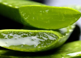 Natur pur: Natürliche Beauty Produkte für ein strahlendes Hautbild