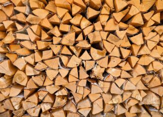 Der richtige Umgang mit Brennholz