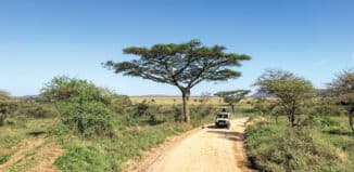 Luxusreisen und Abenteuer: Von exklusiven Safaris bis hin zu Helikopter-Touren