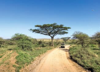 Luxusreisen und Abenteuer: Von exklusiven Safaris bis hin zu Helikopter-Touren