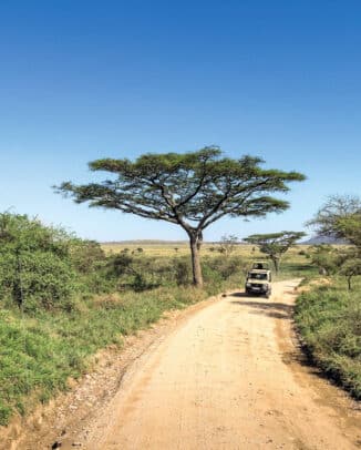 Luxusreisen und Abenteuer: Von exklusiven Safaris bis hin zu Helikopter-Touren