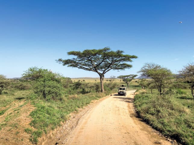 Luxus-Safaris: Die wilde Seite der Welt erkunden