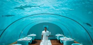 Die 7 verrücktesten Restaurants der Welt