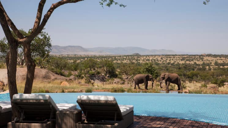 Luxus-Weltreise zum Four Seasons Safari Lodge Serengeti, International Intrigue